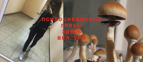 прущий лед Заволжье