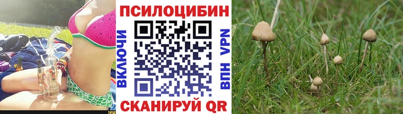 дарнет шоп  Навашино  Псилоцибиновые грибы ЛСД 